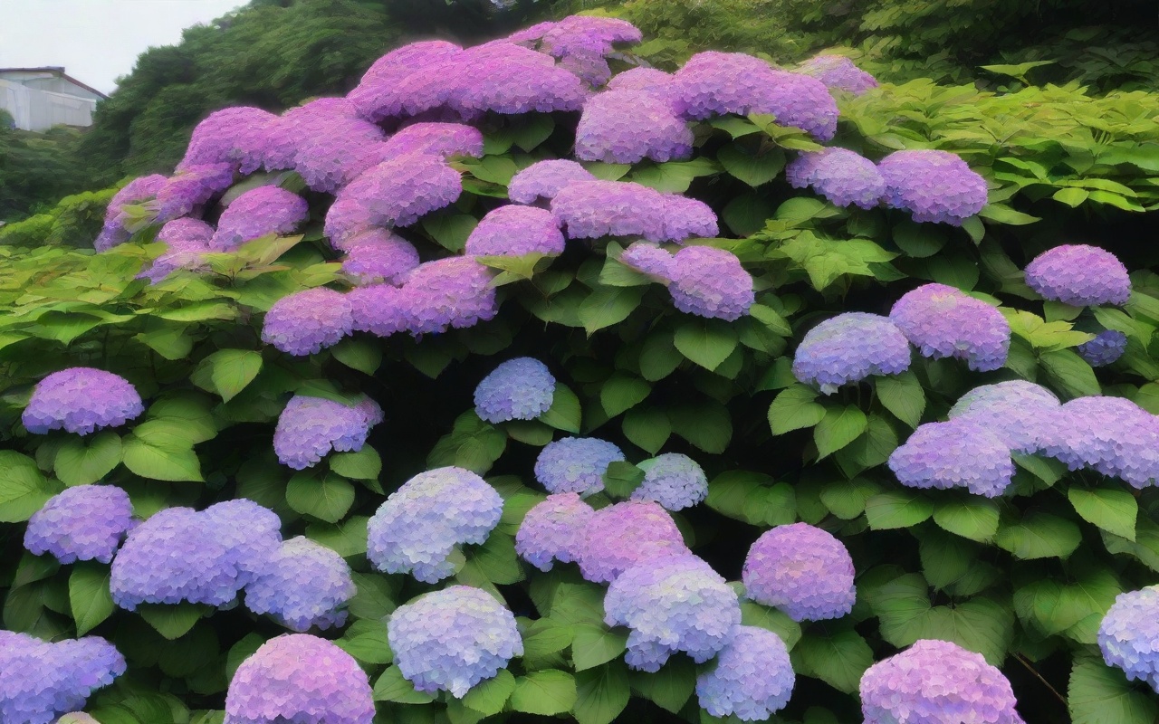 kamakura rainy season hydrangea sub 5
