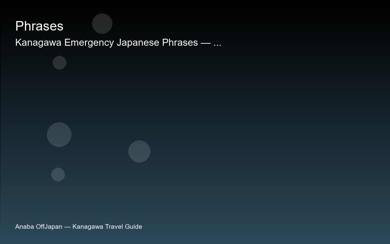 kanagawa-emergency-japanese-phrases sub2