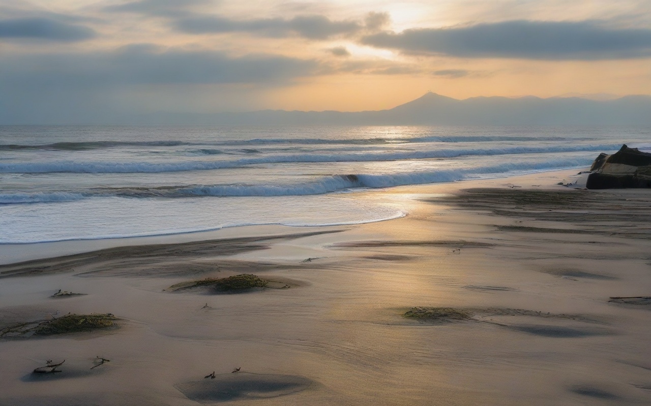 shonan beach cleanup schedule sub 3