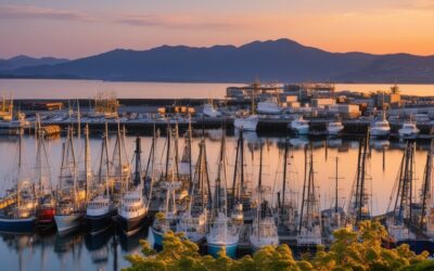 Misaki Port Photography & Sunset Guide 2026