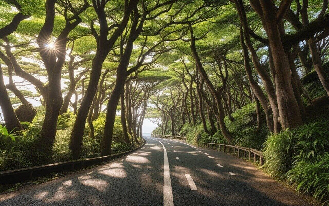 Shonan cycling route overview with coastal views of Kamakura shoreline and cycling path